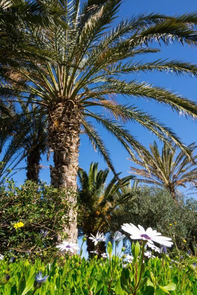 Authentic Cretan Stone Windmill Villa ซิเตีย ภายนอก รูปภาพ