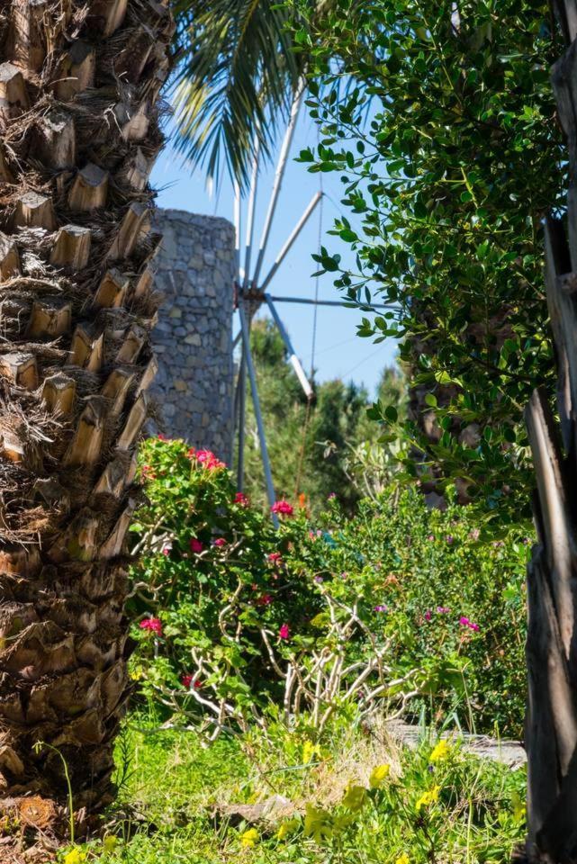 Authentic Cretan Stone Windmill Villa ซิเตีย ภายนอก รูปภาพ